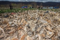 YENIYURT - Arazide Yüzlerce Hayvan Kafatası Bulundu