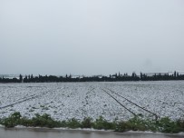 KAR SÜRPRİZİ - Güney Marmara'ya Mart Karı Yağdı