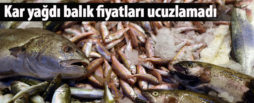 Kar yağdı balık fiyatları ucuzlamadı