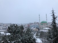 Kar Yağışı Bursa'nın Dağ Yöresinde Etkili Oluyor