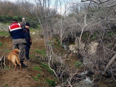 Kayıp Alzheimer Hastası Derede Ölü Olarak Bulundu