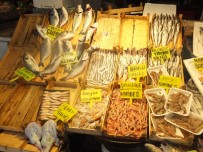 TROL - Balık Tezgahlarında 'Bako' Sürprizi