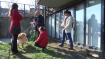RİCHARD MOORE - Rehber Köpekler Derneğinden Gönüllülere Teşekkür
