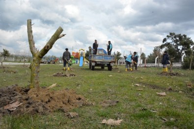 Yunusemre'de Ağaçlandırma Çalışmaları Sürüyor