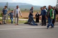 MEHMET AKTAŞ - Otoyolda Yolun Karşına Geçmek İsterken Canından Oldu