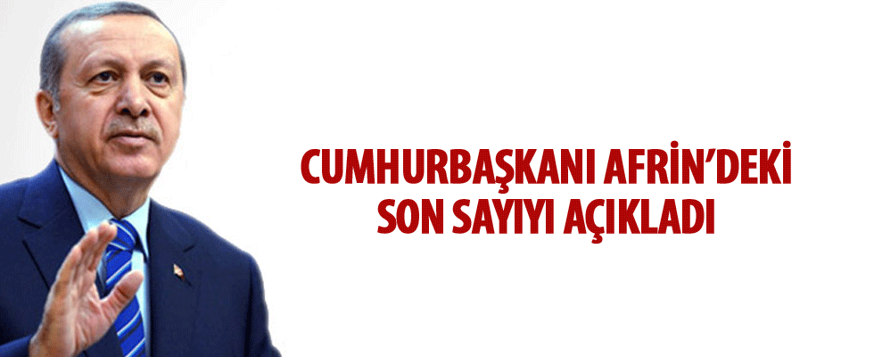 Cumhurbaşkanı Erdoğan: 3300 terörist etkisiz hale getirildi