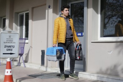 Kayıt Yaptırana Mama Armağan