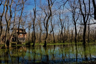Kızılırmak Deltası Doğal Güzelliğiyle Göz Kamaştırıyor