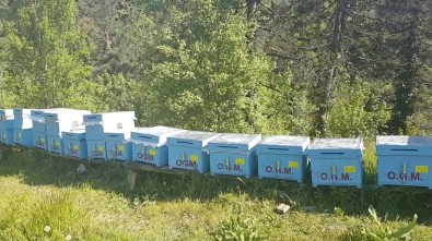 Orman Köylüsüne Hibe Destekler Anlatıldı