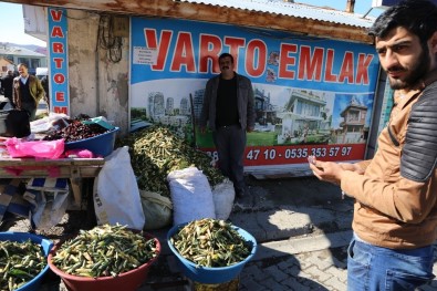 Varto'da Baharın Müjdecisi 'Gülbahar' Bitkisi Tezgâhlarda