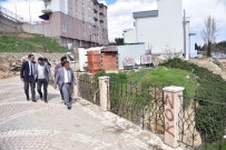 SELIM YAĞCı - Başkan Yağcı'dan İncelemeler