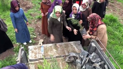 Diyarbakır'da Tenzile Erdoğan Hatıra Ormanı Oluşturuldu