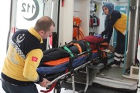 KOCAELI ÜNIVERSITESI - Kontrolden Çıkan Kamyon, 15 Metre Yükseklikten Tarlaya Uçtu Açıklaması 3 Yaralı