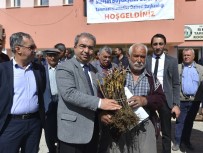 MEHMET ERDEM - Mersin'de Üreticiye 5 Bin 200 Adet Aşılı Asma Fidanı Dağıtıldı