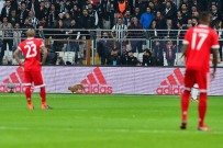 BAYERN MÜNIH - Beşiktaş Bayern Münih maçında sahaya kedi girdi