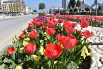 GÖKHAN KARAÇOBAN - Alaşehir Çiçeklerle Renk Cümbüşüne Büründü