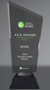 Vestel Müşteri Hizmetleri'ne Mükemmel Müşteri Deneyimi Ödülü