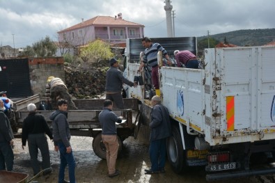 Yunusemre'de Fidan Dağıtımları Sürüyor