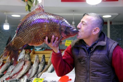 10,5 Kiloluk Sazan Ve 65 Kiloluk Yayın Balığı Görenleri Şaşırttı