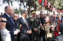 ÇANAKKALE ZAFERI - Şehit Annesinin Afrin Sevinci