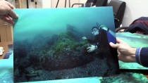 KURU YÜK GEMİSİ - Sinop'un Su Altı Zenginliği Dünyaya Tanıtılacak
