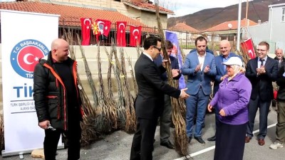 TİKA'dan Makedonya'da Ceviz Yetiştiriciliğine Destek