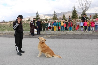 Arama Köpeği 'Aza' Anaokulu Öğrencilerini Hayran Bıraktı
