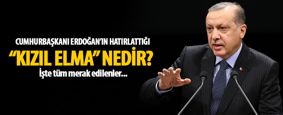 Cumhurbaşkanı Erdoğan'ın hatırlattığı 'Kızıl Elma' nedir?