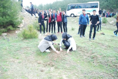 Edirne'de Yüzlerce Öğrenci Gazi Ve Şehitler İçin Fidan Dikti