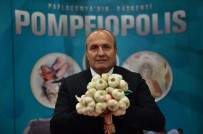 KÜLTÜR BAŞKENTİ - Kastamonu Günleri'nde Taşköprü Standı Büyük İlgi Gördü