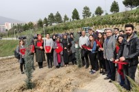 MEHMET ALI ŞAHIN - KBÜ'de Şehitlerin Anısına Fidan Dikildi