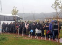 OTOMASYON - Akaryakıt Vurgunu Operasyonunda Tutuklu Sayısı 56'Ya Ulaştı