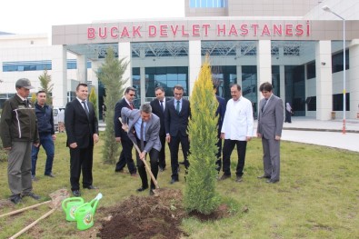 Bucak Devlet Hastanesi Bahçesi Yeşillendiriliyor