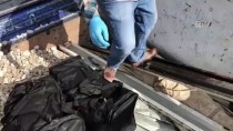 EĞİTİMLİ KÖPEK - Gaziantep'te Uyuşturucu Operasyonu