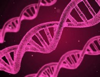MINYATÜR - Kanser tedavisinde DNA nanorobotları devrede