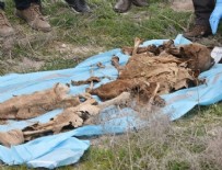 İŞ BAŞVURUSU - Konya'da amca cinayeti şüphelisinin ifadesi ortaya çıktı