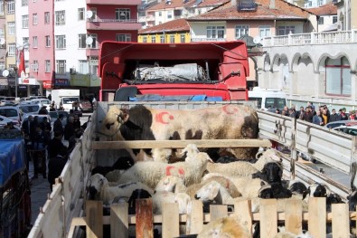 Mehmetçik İçin Sürü Bağışladılar