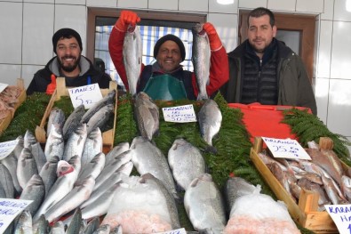 Tezgahlarda Balık Fiyatları Düşmüyor