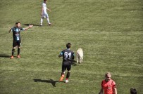 SOKAK KÖPEĞİ - Davetsiz Misafir Maçı Durdurdu