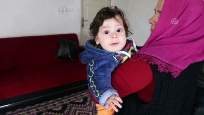 Iğdır'da Yaşayan 'Vergül' Ailesi Yardım Bekliyor