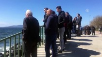 LODOS - Pendik'te denizde ceset bulundu