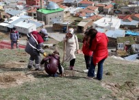 ZEKERIYA GÜNEY - Şehitler İçin Kepez'e Fidan Dikildi