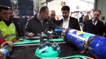 HAVA TAŞIMACILIĞI - Turkish Cargo, Canlı Çipurayı Umman'a Taşıdı