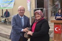 DÜNYA METEOROLOJI GÜNÜ - 258 Ev Hanımına Ihlamur Fidanı Dağıtıldı