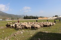 ABDURRAHMAN DEMIREL - Afrin'deki Mehmetçiğe 300 Kurban