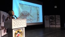 MUSTAFA HARPUTLU - Alanya Kalesi Değerlendirme Toplantısı Yapıldı