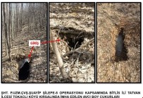 Bitlis'te Terör Örgütüne Ait EYP İmha Edildi