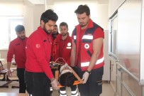 YANGIN TATBİKATI - Elazığ'da Deprem Ve Yangın Tatbikatı