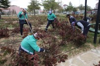 ERTUĞRUL ÇALIŞKAN - Karaman Belediyesinden Şehir Mezarlığında Çevre Düzenlemesi