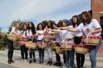 MUHTEŞEM SÜLEYMAN - Nevruz'a Mesir Coşkusu Eklendi